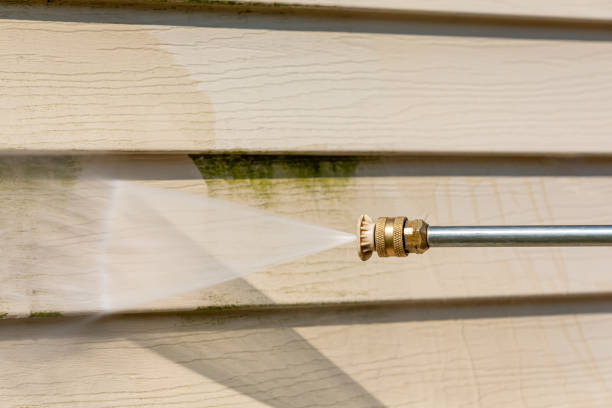Best Local Pressure Washing Services  in Mount Gilead, NC